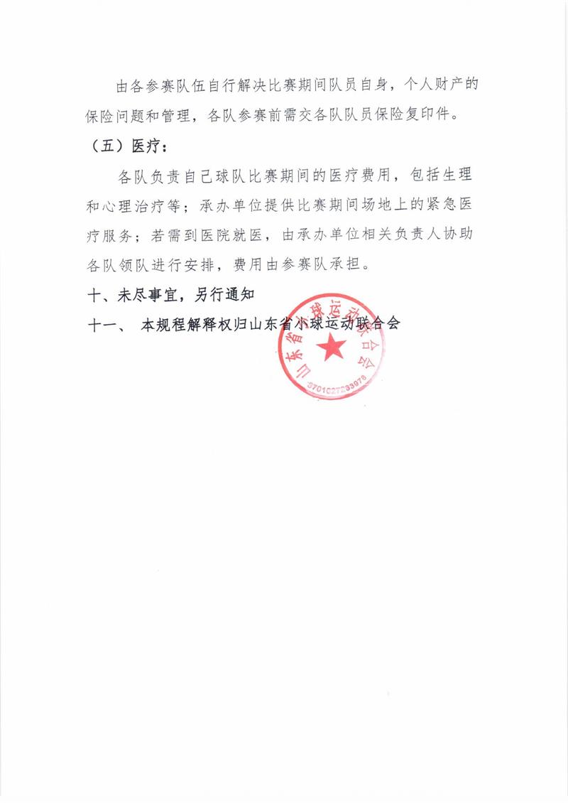 板球冠军赛规程0005.jpg